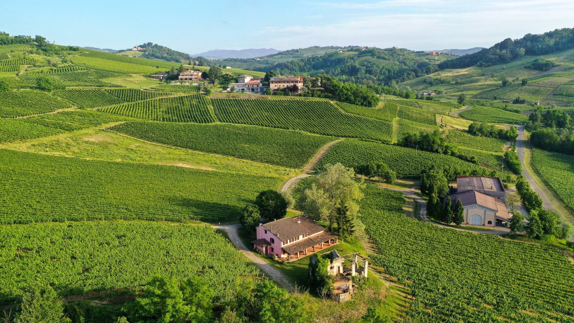 I vigneti Torti sulle colline dell'Oltrepò Pavese